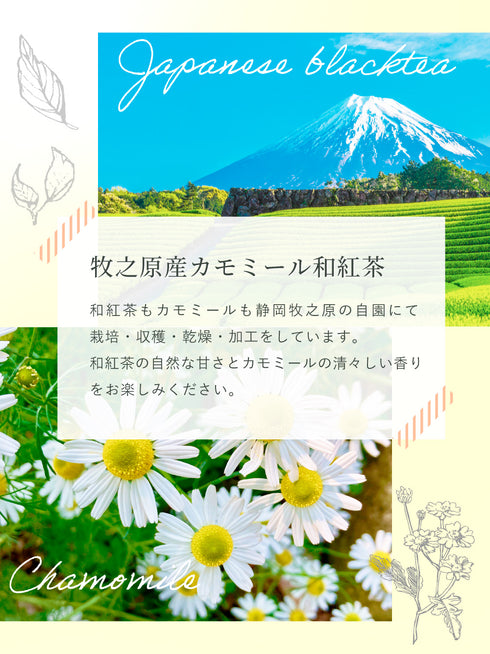 洋甘菊 x 日本紅茶茶包 2.5g x 35p